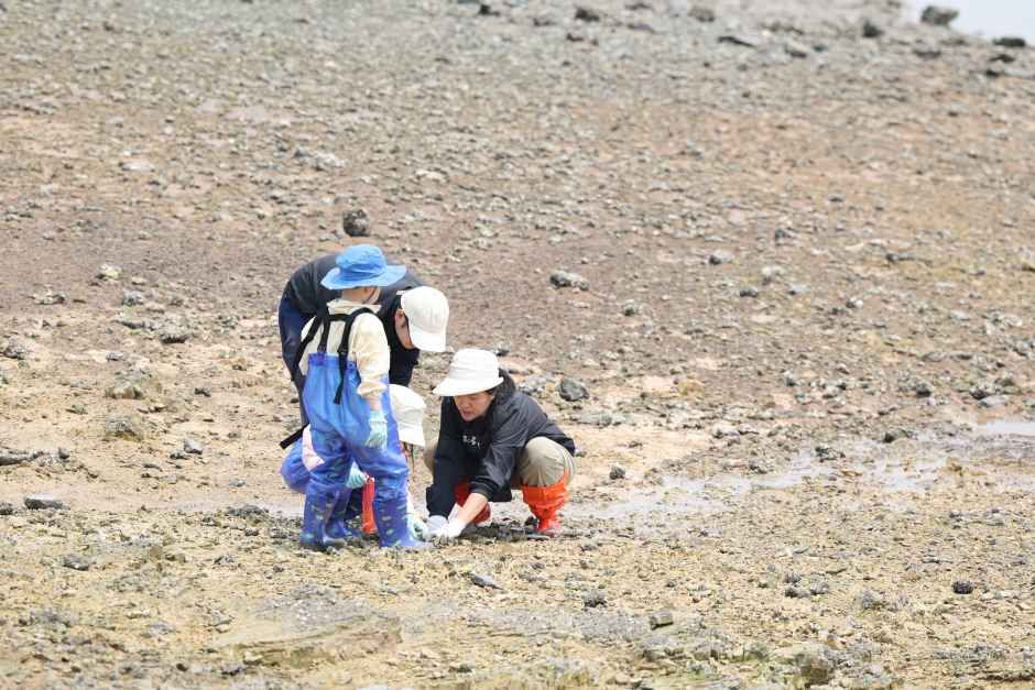 화성 뱃놀이 축제