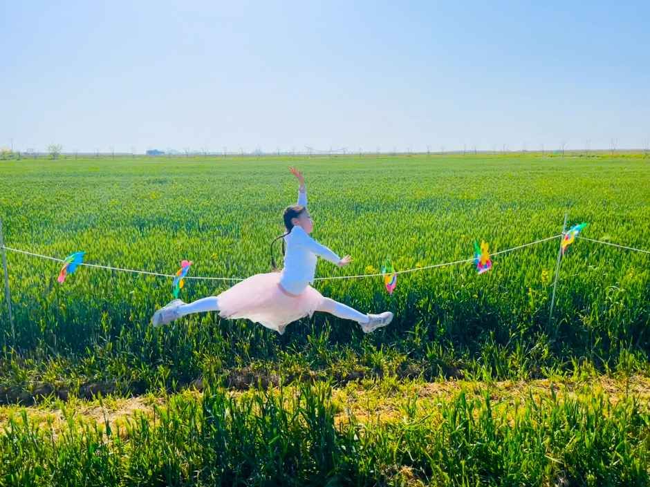 镇峰新万金麦田节
