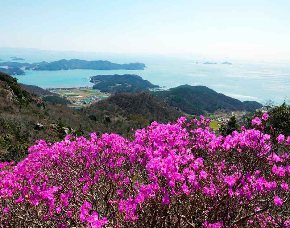 여귀산