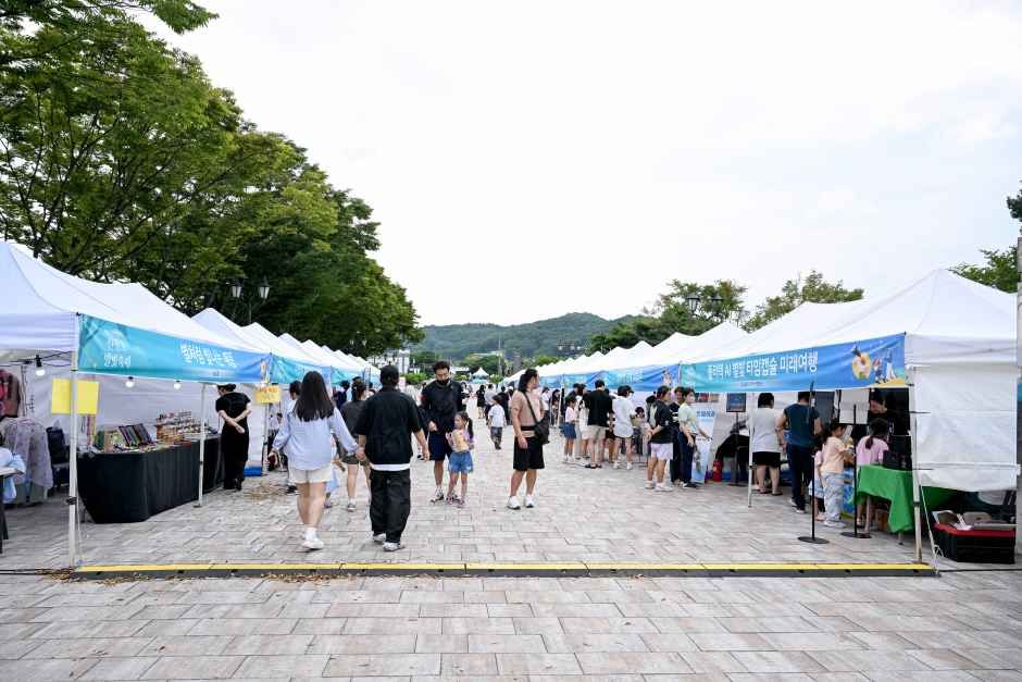 한여름 밤의 신정호 별빛축제 사진 8