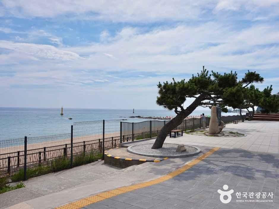 정동진역