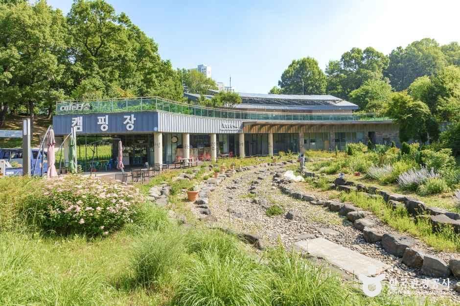 중랑숲캠핑장