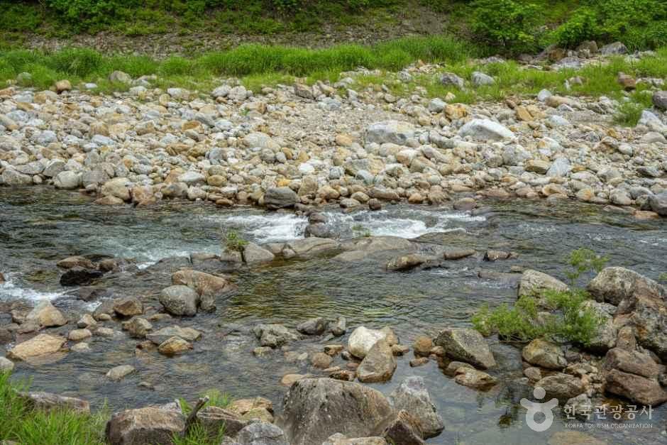 심원계곡 - 전북특별자치도 남원시 산내면 지리산로 842-8 관광 명소