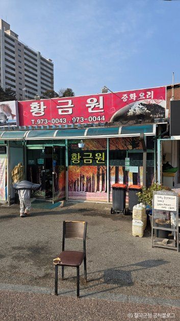황금원