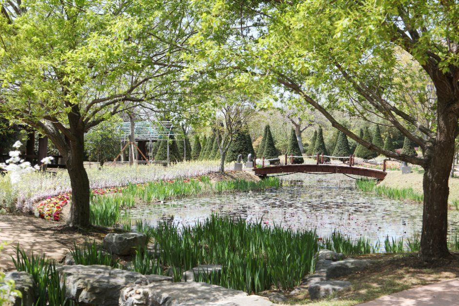1004 Island Bonsai Garden