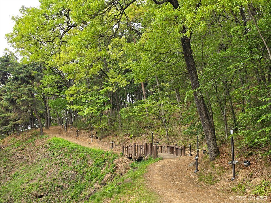 고령 주산성 사진 3