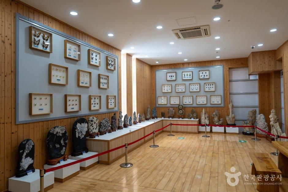 충남_청양_청양목재문화자연사체험관_내부_1.jpg
