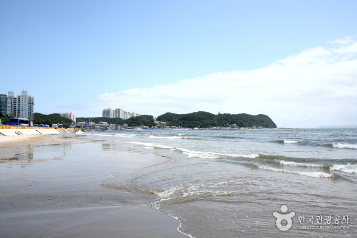 영일대해수욕장 영일대해수욕장