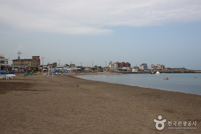 이호 테우해변 이호 테우해변