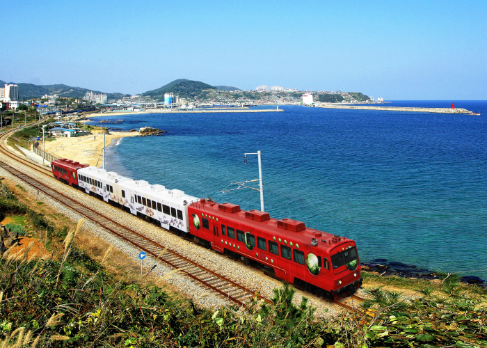 Sea Train