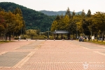 율하체육공원 (3)