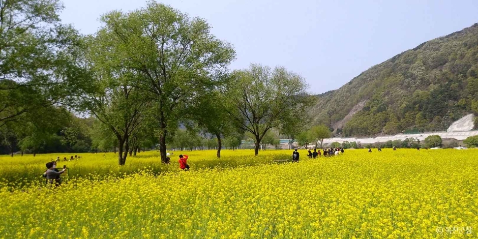 沃川錦江水辺親水公園