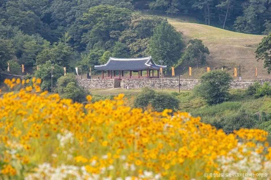 금강신관공원 여행 추천 - 로드트립