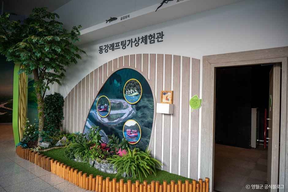 영월곤충박물관 사진 3