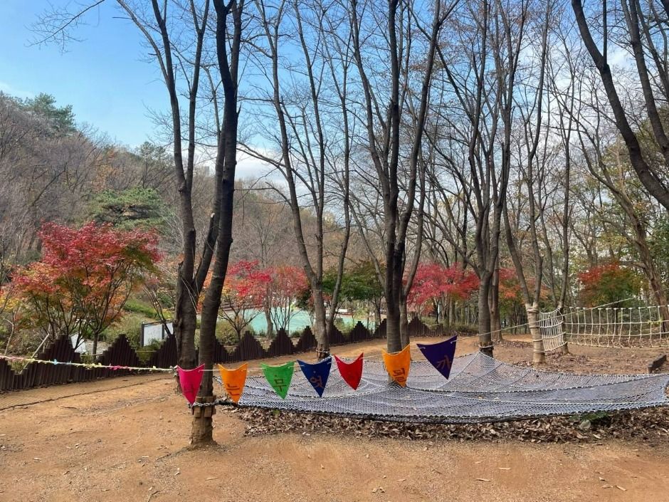 青紗灯籠 幼児の森体験園