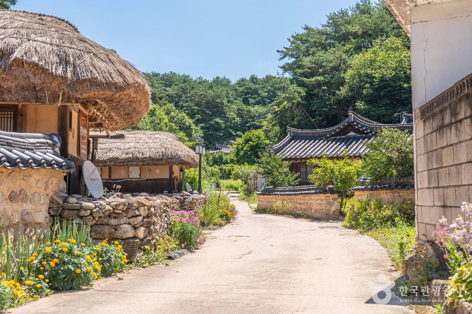 ムソム村