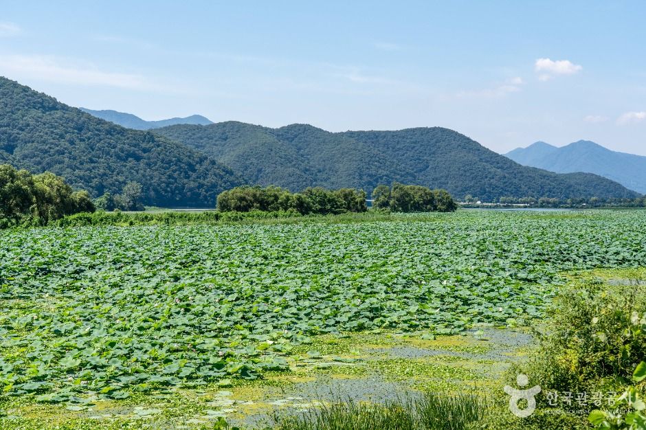 景安川湿地生態公園