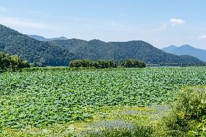 경안천 습지생태공원
