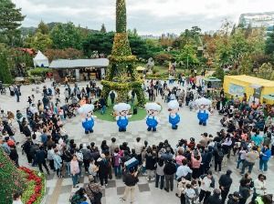 2025 유성국화축제 1