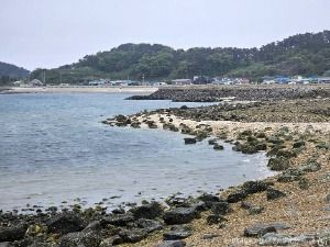 소야도 떼뿌리 해변