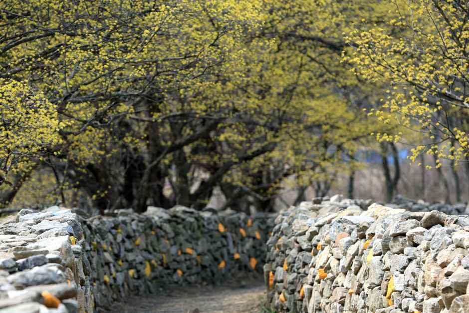 이천_산수유사랑채_전경 (2).JPG