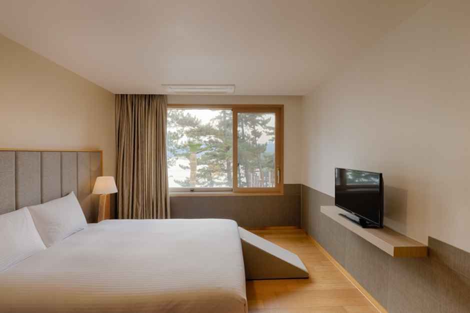 삼척_쏠비치호텔_&리조트 삼척_골드스위트 펫 (3).jpg