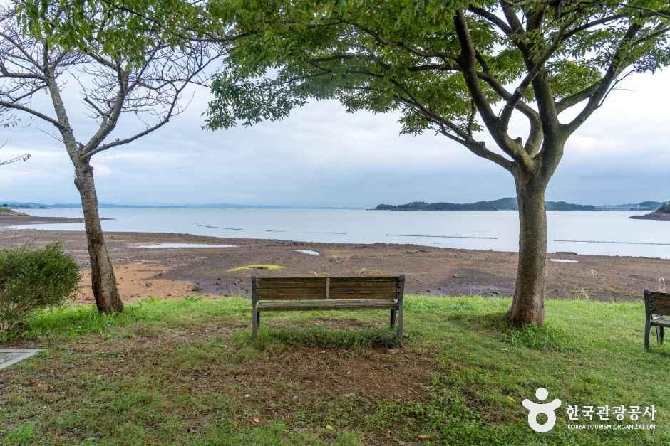 看月湖休息公園
