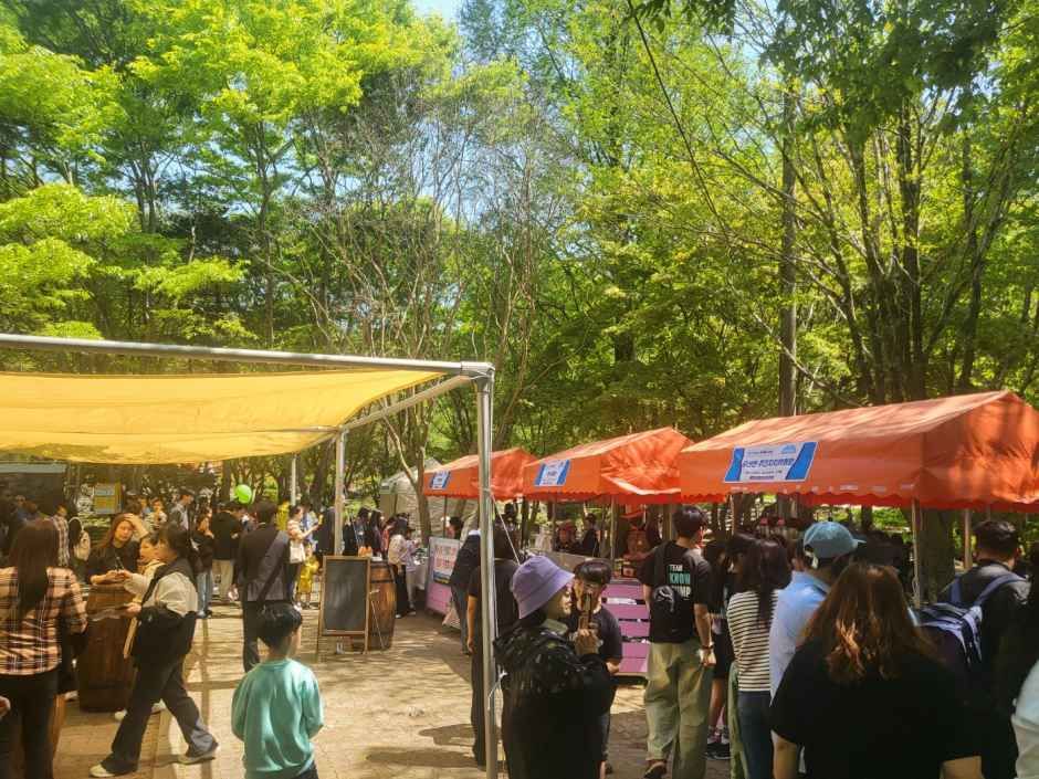 Festival Musical del Monte Moaksan de Gimje (김제 모악산 뮤직페스티벌)