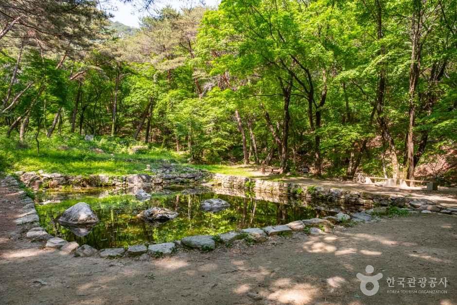 청평사계곡