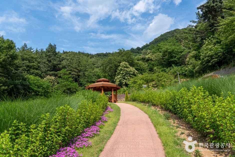 경산 치유의 숲