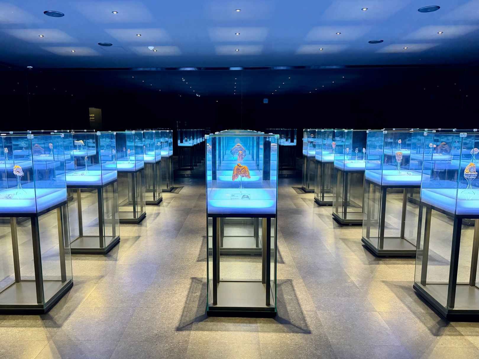 定林寺址博物館