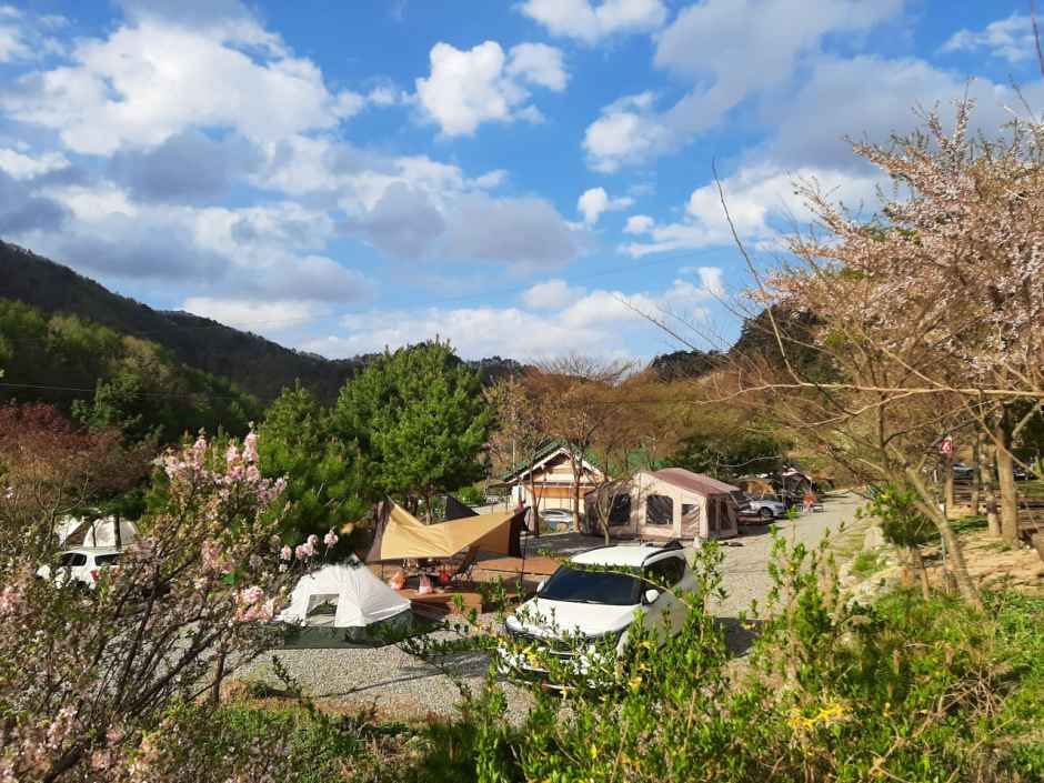 인제 연가리 오토캠핑장