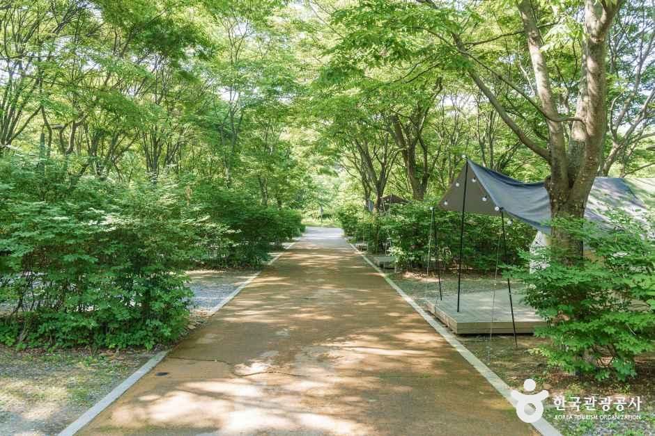 중랑숲캠핑장