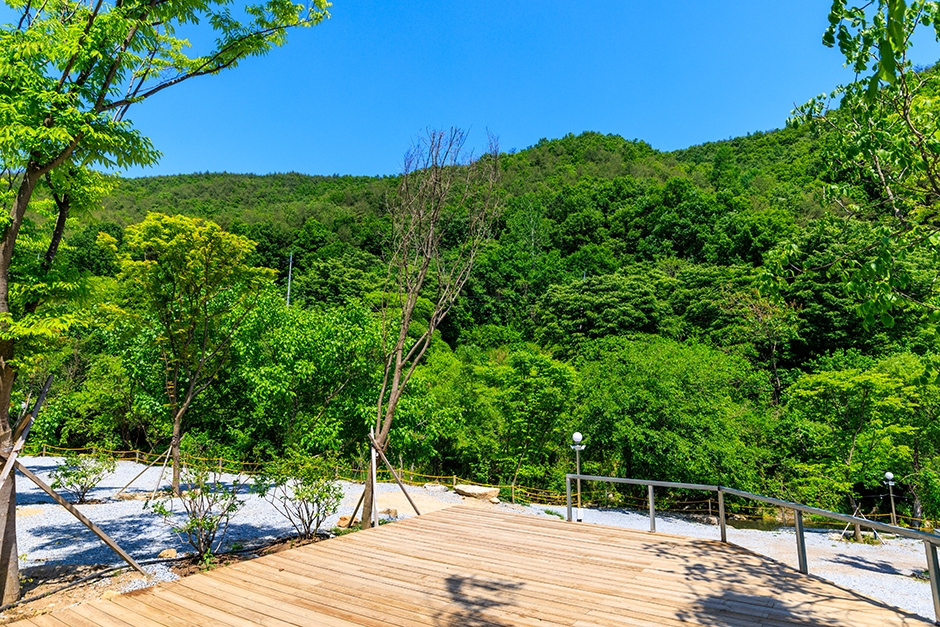 銀河水観光農園