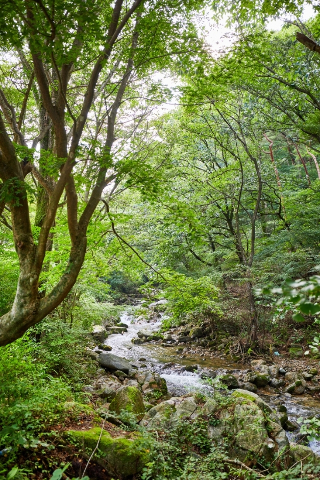 母岳山道立公園