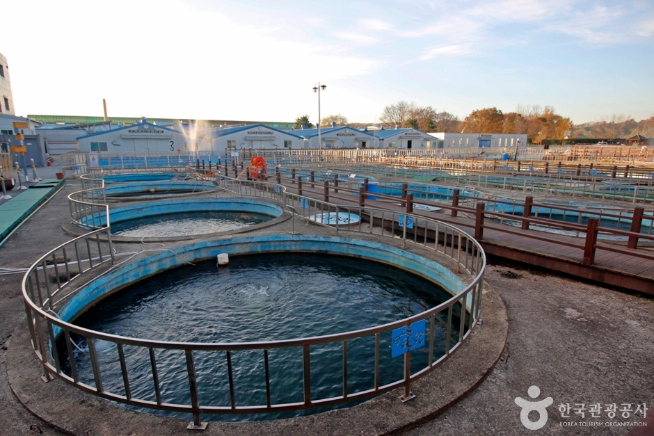 忠州 淡水魚展示館