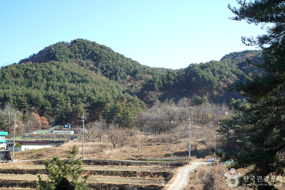 青大山