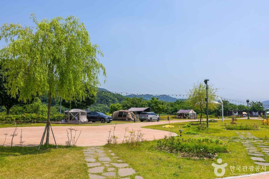 琴湖江汽车露营地