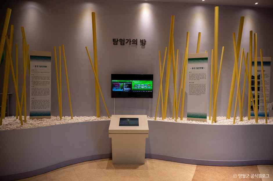 영월곤충박물관 사진 4