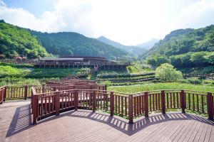진해드림파크