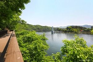 초롱길 사진 4