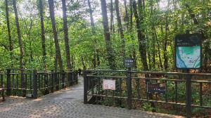 관악산 무장애숲길