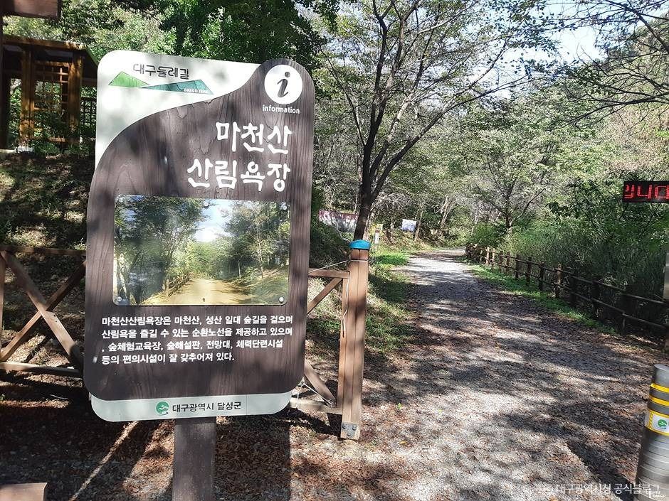 Machonsan Forest Bathing Area