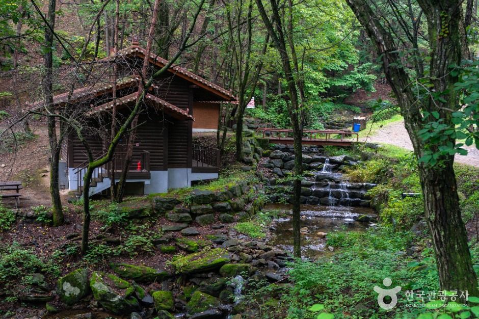 鶴駕山自然休養林