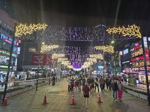 2025 해운대 빛축제 2