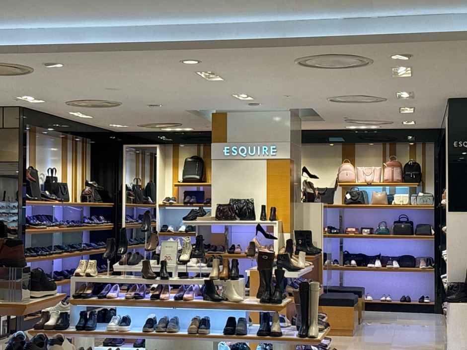 Esquire 乐天百货 Centum City店
