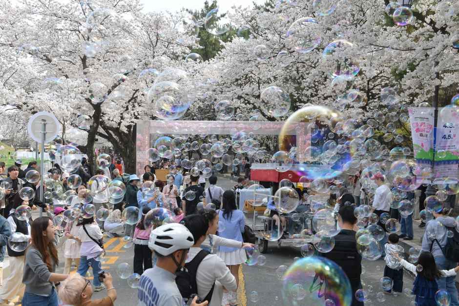 경주 대릉원돌담길 축제