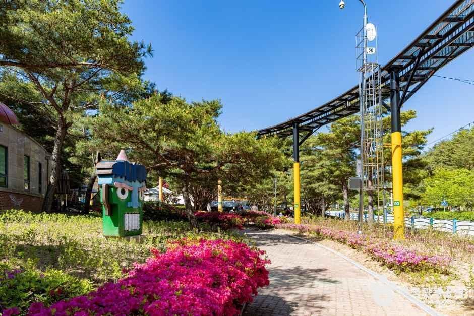 전국 문화시설 솔향공원