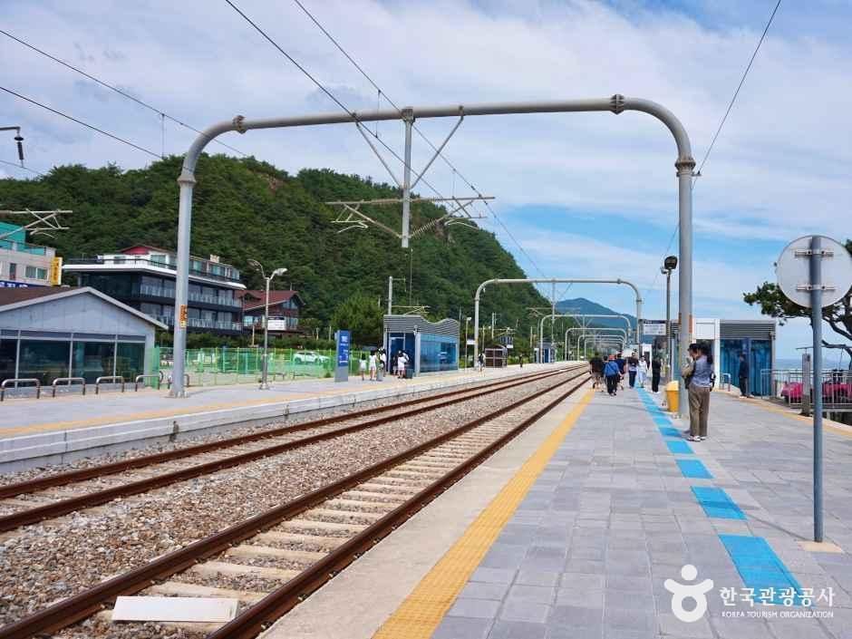 정동진역