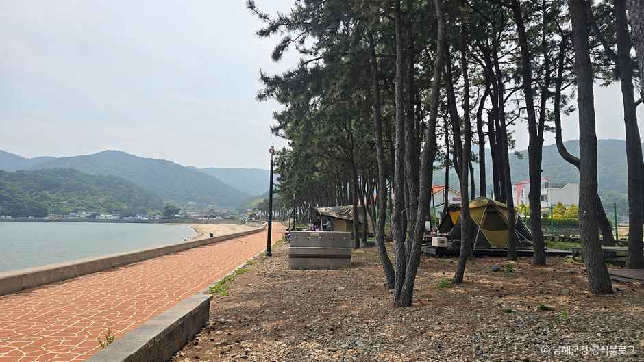 월포해수욕장야영장